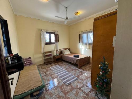 ダハブにあるHouse with 2bed room and rooftopのリビングルーム(クリスマスツリー付)