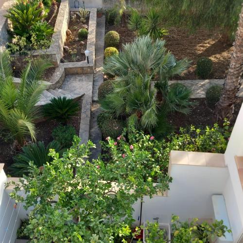 Κήπος έξω από το BED & BREAKFAST VAL di ERICE