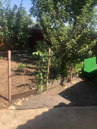 a fence in front of a garden with trees at Вапнярка, Одесская область, жилье у моря in Vapnyarka
