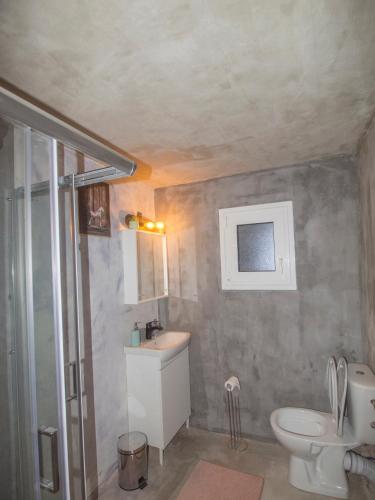a bathroom with a toilet and a sink at VistaTzoumerka in Agnanta