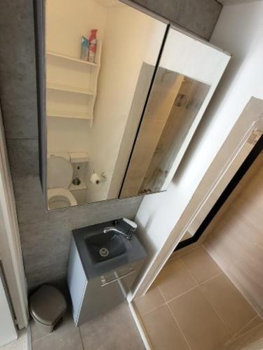 une petite salle de bain avec un lavabo et un miroir dans l'établissement Studio F1 tout confort centre ville, à Beaumont-sur-Oise