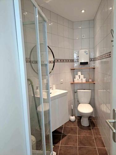 une salle de bain avec toilettes et douche en verre dans l'établissement Appartement les sources, à Plombières-les-Bains