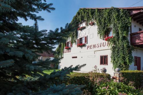 a building with ivy on the side of it at Pension Hotel Fast in Rădăuţi