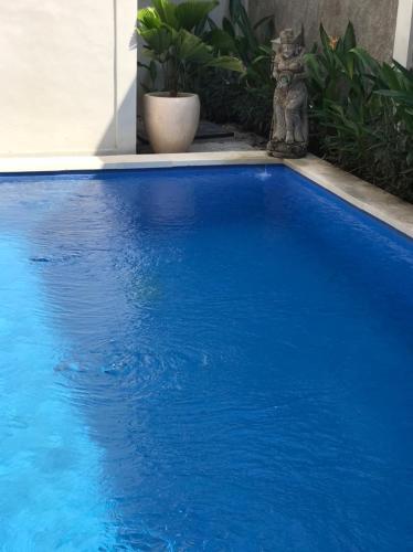 una piscina azul con un gato sentado al lado en Villa Makmur, en Kerobokan