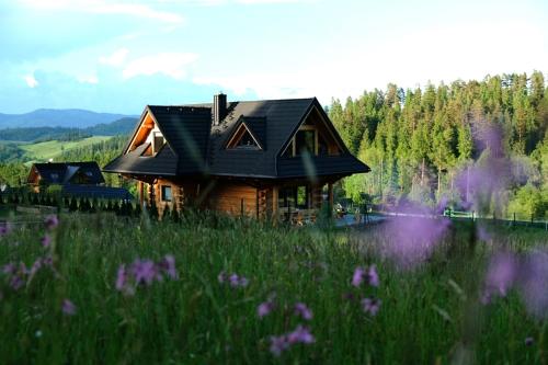 a log cabin in a field of grass and purple flowers at Domek z balią - Dotyk Motyla in Łapsze Niżne