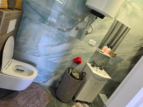 a bathroom with a toilet and a sink at Apartmani Korana in Karlovac