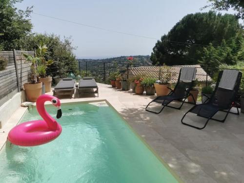 un cygne rose dans une piscine avec deux chaises dans l'établissement Villa Saga House, à Saint-Jeannet