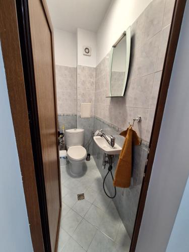 a bathroom with a toilet and a sink and a mirror at Apartment Pirin in Bansko