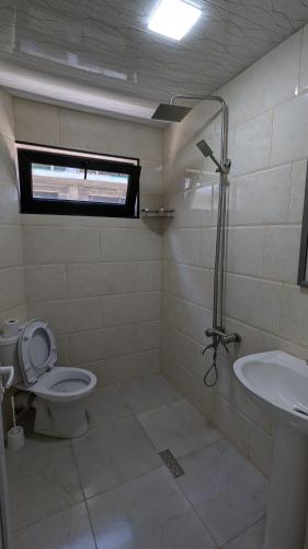 a bathroom with a toilet and a sink at Hotel Palm Gonio in Kvariati