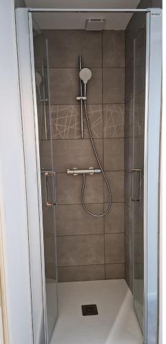 une douche avec pommeau de douche dans une salle de bain dans l'établissement A 2 pas de la BASILIQUE, à Bourg-en-Bresse
