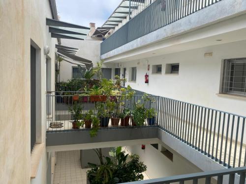 Attractive Suite Apartment in Malaga City Center