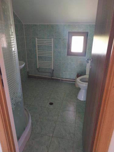 a bathroom with a shower and a toilet and a window at Cabana Ioana Balas in Beliş