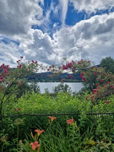 a garden with flowers and a lake in the background at Le Manoir Au Lac in Gérardmer