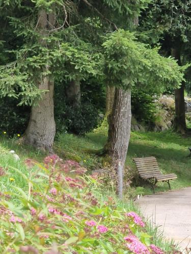two trees and a bench in a park with flowers at Le Manoir Au Lac in Gérardmer