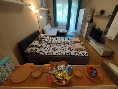 Flower Studio Apartment