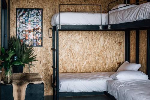 a room with two bunk beds and a plant at Humbug Views - Bunk House & Hot Tub! in St Helens