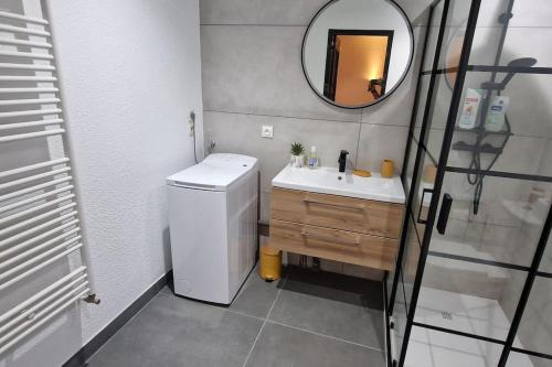 Un baño pequeño con lavabo y espejo. en Le Petit Colin RDC, en Pontarlier
