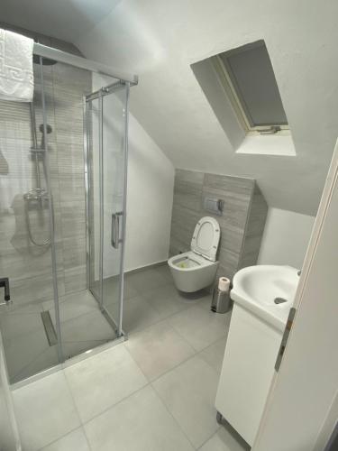 a bathroom with a shower and a toilet and a sink at Casa Didi in Zărneşti