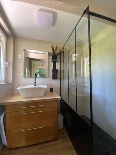 une salle de bain avec un lavabo et une douche dans l'établissement Gite de La Liambe - Maison en bois à la campagne, à Dommartin-lès-Cuiseaux
