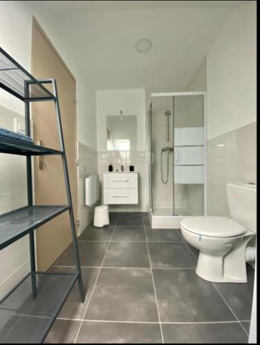 La salle de bains est pourvue de toilettes, d'une douche et d'une échelle. dans l'établissement Studio cosy comme à la maison, à Mulhouse