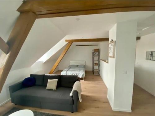 un salon avec un canapé et un lit dans l'établissement Studio cosy comme à la maison, à Mulhouse