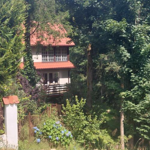 Zahrada ubytování Beskidzka Apartments