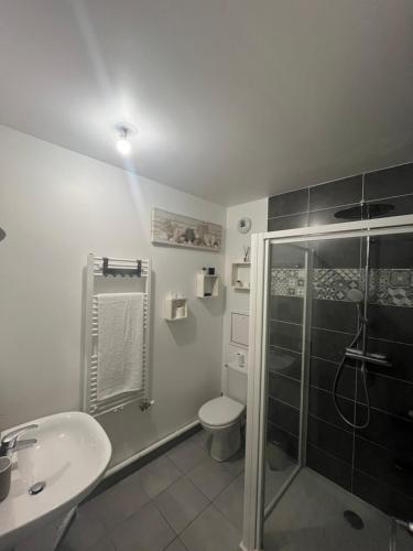 une salle de bain avec une douche, des toilettes et un lavabo dans l'établissement JO 2024 Appartement Casino d Enghien, à Enghien-les-Bains