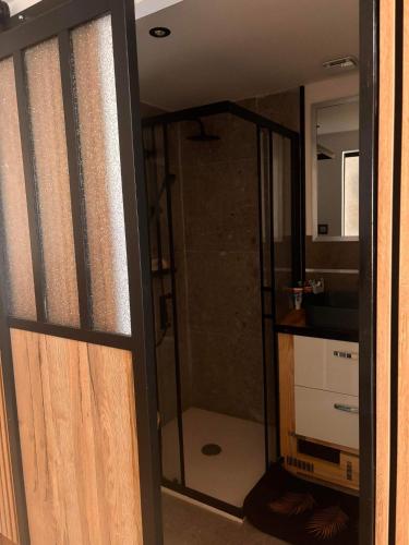 une salle de bain avec douche et porte vitrée dans l'établissement T1 Duplex avec filet detente, à Millau