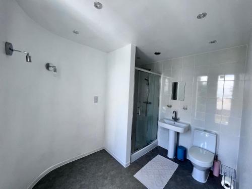 Un baño con inodoro, ducha y lavabo. en Fortview, en Gravesend