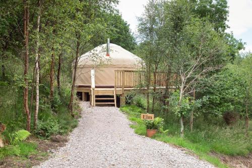 a gravel road leading to a yurt in a forest at Yurtshire Eavestone Lake - Birch Yurt in Ripon