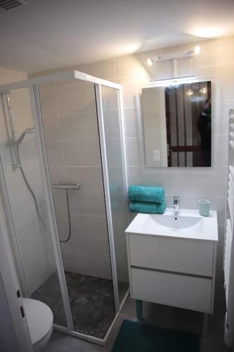 une salle de bain avec une douche, des toilettes et un lavabo dans l'établissement A deux pas de la plage - Les lauriers roses, à Saint-Georges-de-Didonne