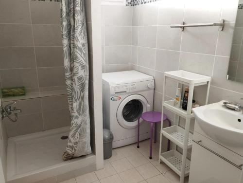 a bathroom with a washing machine and a sink at Appartement lumineux dans le centre de Digne-les-Bains avec balcon. in Digne-les-Bains