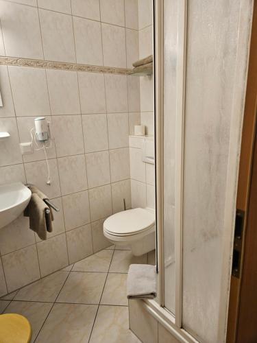 a bathroom with a toilet and a sink at Parkhotel del Mar in Sassnitz