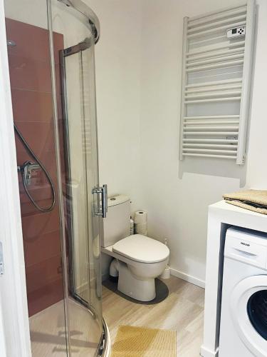 une salle de bain avec toilettes et douche en verre dans l'établissement Bel appart fonctionnel et lumineux en centre ville, clinique et Tram à 5 mn, situation idéale !, à Castelnau-le-Lez
