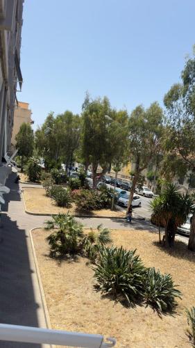 a street with a bunch of plants and trees at Musetta sicilian hospitality in Milazzo