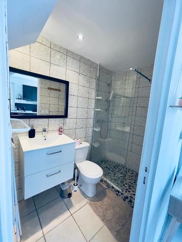 une salle de bain avec un lavabo, des toilettes et une douche dans l'établissement Joli T2 avec extérieur, au Boulou