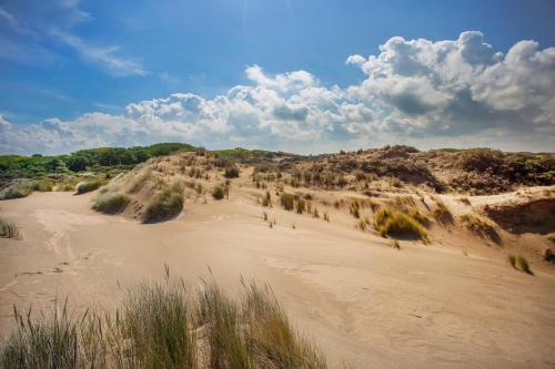 un champ de sable avec des buissons et des arbres sur une colline dans l'établissement Appartement De panne, à La Panne