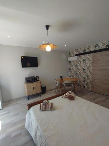 une chambre avec un lit, une table et une télévision dans l'établissement Entre canal et garrigue, à Roubia