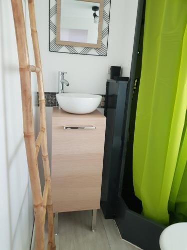 une salle de bain avec un lavabo et un miroir dans l'établissement Gard mobilhome, à Saint-Ambroix