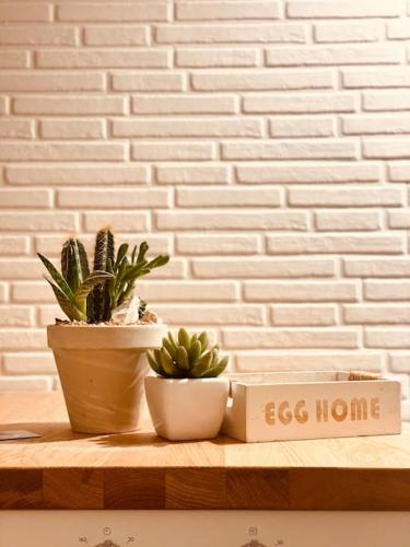 two plants and a box on a wooden shelf at Ca del Gno in Luni