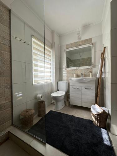 a bathroom with a shower and a toilet and a sink at La Mosie in Corbu