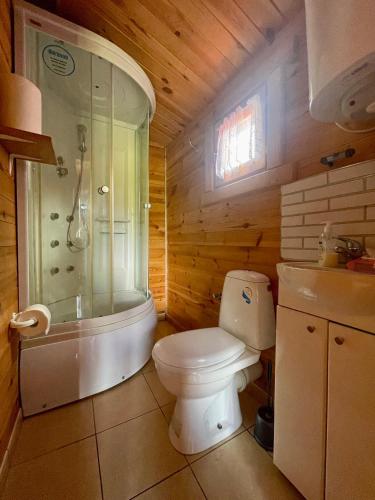 a bathroom with a white toilet and a shower at Domki u Haliny in Przewłoka