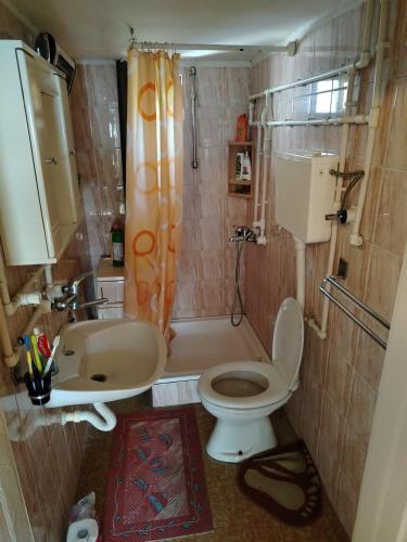 a bathroom with a toilet and a sink and a shower at Domaćinstvo Zasavica in Zasavica Prva