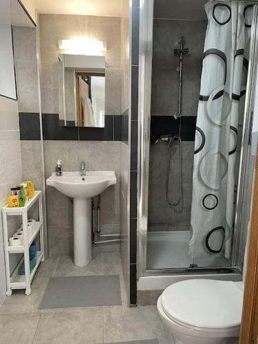 La salle de bains est pourvue d'une douche, de toilettes et d'un lavabo. dans l'établissement Appartement Bazilic, à Chessy