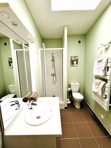 une salle de bain avec un lavabo, une douche et des toilettes dans l'établissement Le Domaine des Aguins, à Saujon