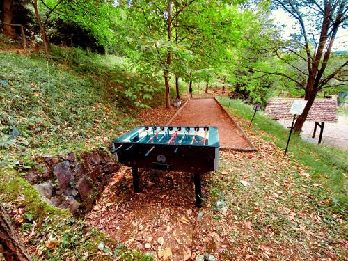 Jardin de l'établissement Brvnare - Ranč Platan