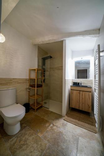une salle de bain avec toilettes et douche dans l'établissement Gîte en face du Château de NIZAS, 4 chambres d'hôtes et 1 appartement familial avec 2 chambres, à Nizas