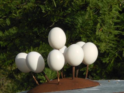 a group of white spheres on a table at Amber Lagoon Backpackers Lodge in Vleirivier