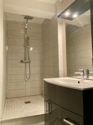 une salle de bain avec douche et lavabo dans l'établissement Appartement de village complet tout confort, à Noves