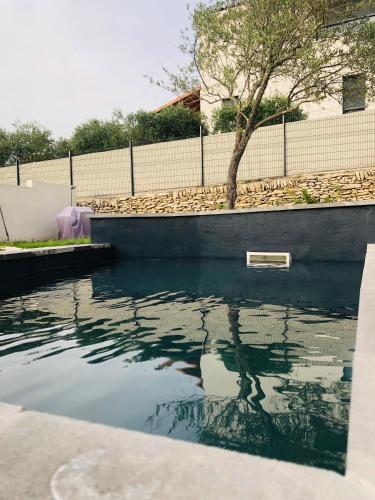 un bassin d'eau avec un arbre et une clôture dans l'établissement La movida, à Aujargues